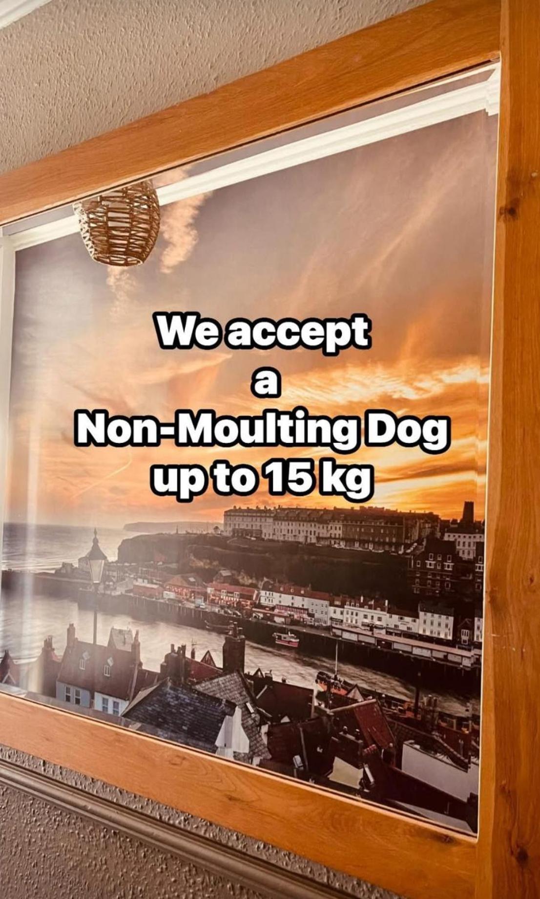 Holiday home Snuze Whitby